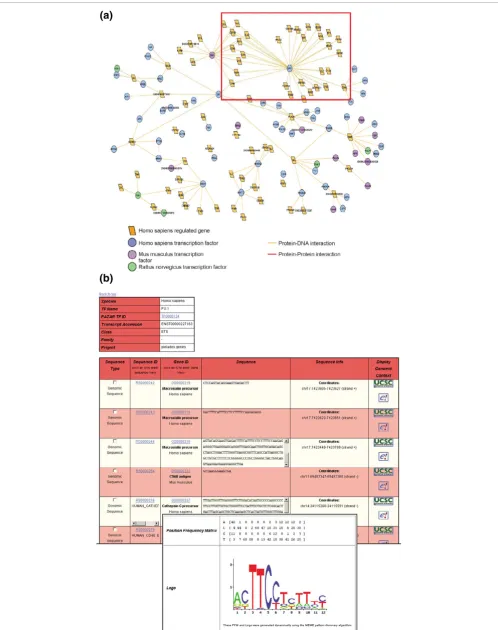 Figure 6 (see legend on previous page)