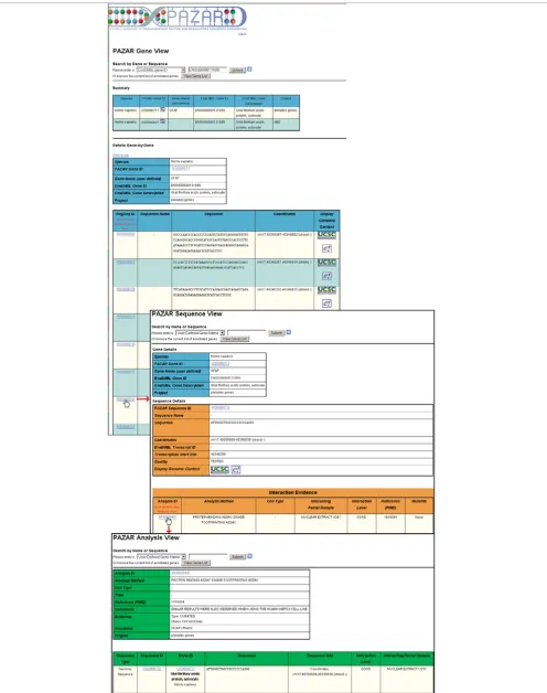 Figure 3 (see legend on next page)