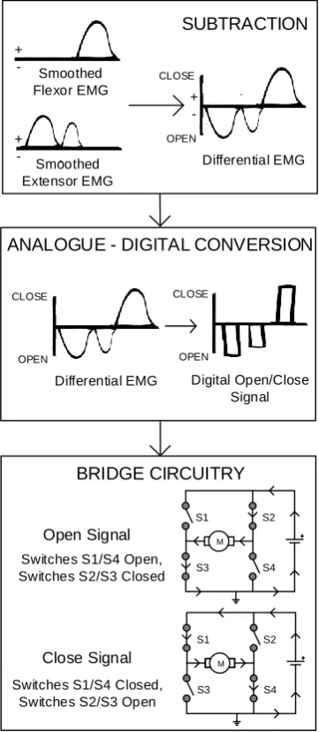 Figure 10. The prosthesis controller combines the signals from the two myoelectrodes. The Proportional Control of Upper Limb Prostheses converted into a digital on/off signal