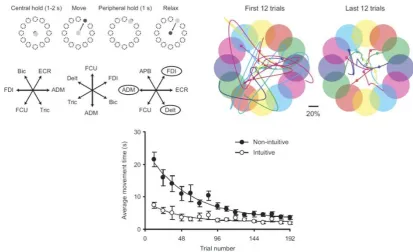 Figure 12. In a multi-control channel task controlled movement of the cursor in a set direction, and when the muscles relaxed the cursor [66], participants were required to use a combination of EMG signals from different muscles to control the movement of 