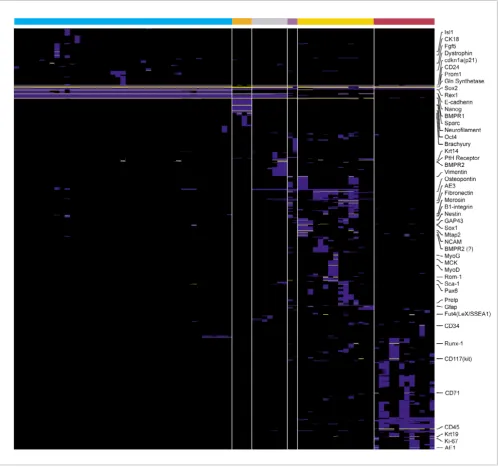 Figure 4Heatmap indicating the distribution of patterns for markers