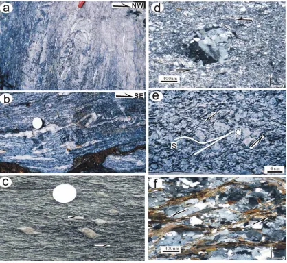 Figure 4.Photos showing D2 structural fabrics in the Yunkaidashan tectonic Belt. (a) Inclined tightfolds in foliated granites (Qianpai, Xinyi)