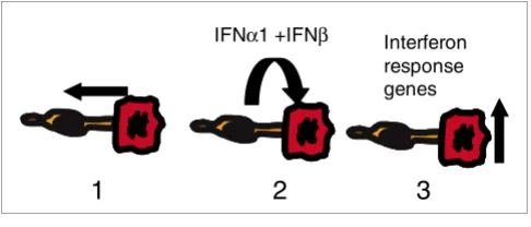 Figure 5Model of interaction effects
