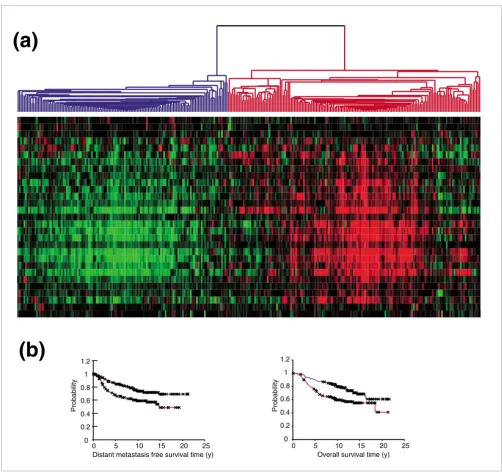 Figure 6from a published expression study of 295 early stage breast cancers from the Netherlands Cancer Institute [35]Interferon response gene expression in early stage breast cancer (a) The expression values of genes in the 'interferon response gene set' were extracted 