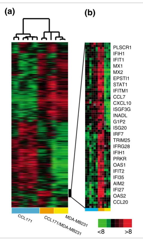 Figure 1MB231 and CCL-171 fibroblastsEffect of heterotypic interaction between breast cancer cell line MDA-Effect of heterotypic interaction between breast cancer cell line MDA-MB231 and CCL-171 fibroblasts