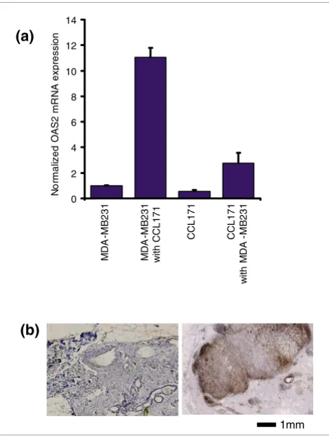Figure 2Overview of gene expression changes over multiple co-cultures of breast cancer cell lines and normal breast epithelial cells with fibroblasts (see previous page)Overview of gene expression changes over multiple co-cultures of breast cancer cell lin