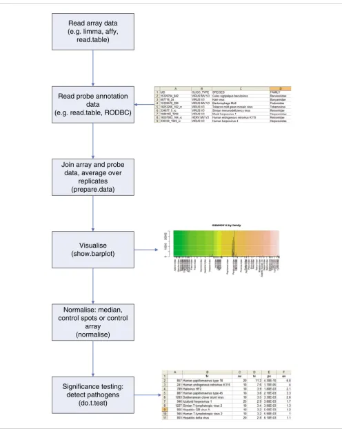 Figure 1Flow of information, and steps taken, when analyzing pathogen detection microarray data using DetectiV