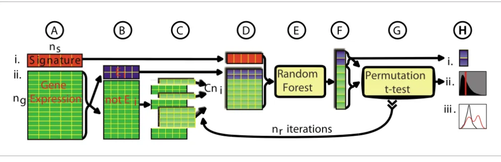 Figure 1The LeFE algorithm illustrated schematically for a category of two genes