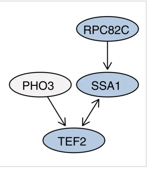 Figure 2Proportions of proteins sampled across datasetsProportions of proteins sampled across datasets
