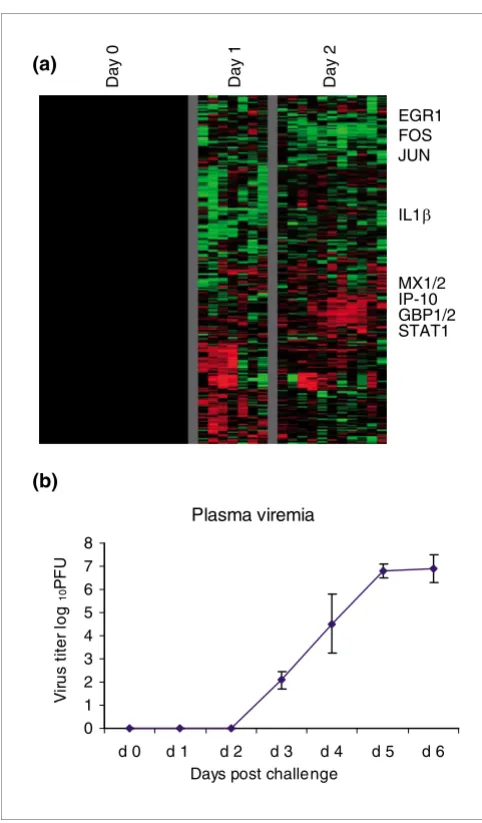 Figure 8Preclinical gene expressionshows at least a twofold increase or decrease from baseline (day 0) in at least three of the samples for day 1 or day 2 are shown