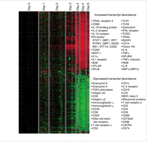 Figure 1Overview of gene expression in peripheral blood mononuclear cells from Ebola infected macaques