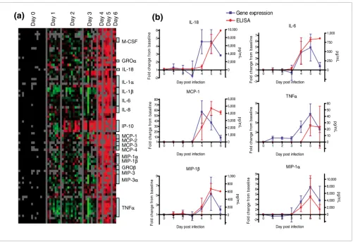 Figure 2Cytokine gene expression