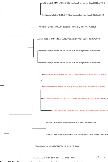 Figure 19. Neighbor Joining tree of DNA barcodes of seven species of Alloclita.