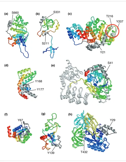 Figure 10 (see legend on next page)