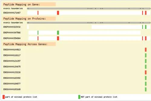 Figure 1Gene view: display of genomic peptide matcheswith. Gene ENSG00000171467 (top), which has three possible transcripts/proteins (middle), was matched by several peptides obtained from an experiment