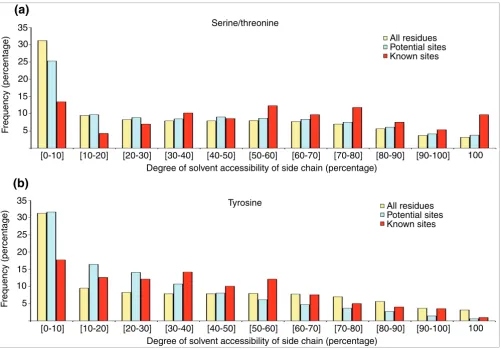 Figure 5Solvent accessibility of phosphorylatable residues