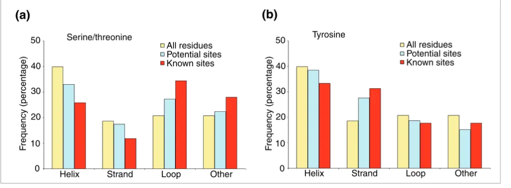 Figure 6Distribution of phosphosites with respect to secondary structure elements