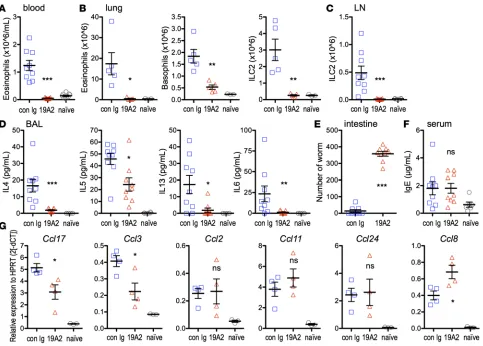 Figure 5. Treatment with anti-hCRTh2 Ab 19A2 eliminates ILC2 cells, eosinophils, and basophils and reduces type-2 inflammatory responses during N