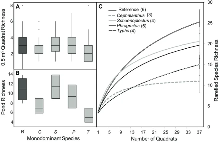 Figure 5. Richness at three scales in patches dominated by Cephalanthus occidentalis (C), Schoenoplectus acutus (S), Typha × glauca (T), Phragmites australis (P) or reference areas (R)