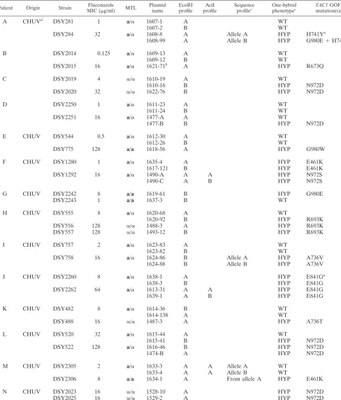 TABLE 4. Summary of the analysis of TAC1 alleles cloned from clinical isolates and screened by the P(CDR2)-HIS3 reporter system