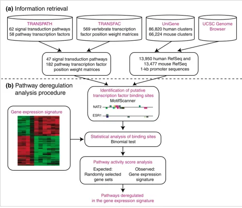 Figure 1Overview of the method used to reveal pathways deregulated in gene expression signaturessources: TRANSPATH, TRANSFAC, UniGene, and the UCSC Genome Browser