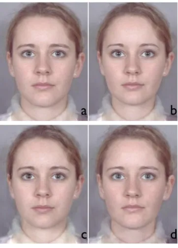 Figure 3-1: Examples of facial stimuli. One of the base-faces transformed to be a) 50% masculine, b) 50% feminine, c)