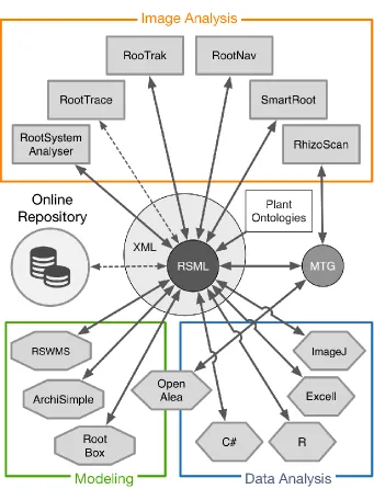 Figure 4: Analysis pipeline enabled by the RSML format. Dotted arrows represent connections that are not yet implemented