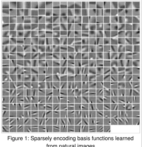 Figure 1: Sparsely encoding basis functions learned