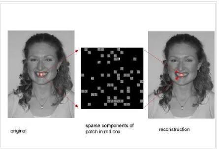 Figure 2: A natural image (left), encoded and reconstructed (right) with the basis functions from fig