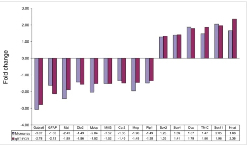 Figure 6Validation of microarray data by qRT-PCRSox11anhydrase 2; oligodendrocyte glycoprotein; protein; investigation