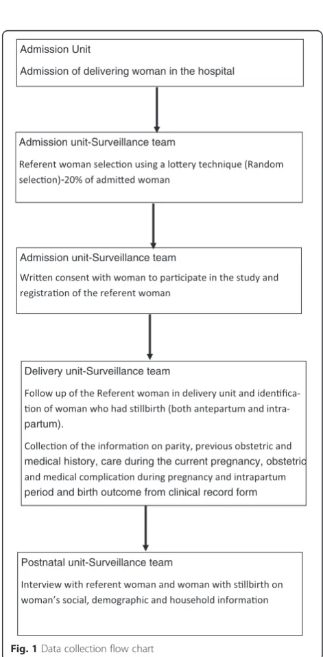 Table 1 Human resources and set-up of each of the delivery units at the hospital