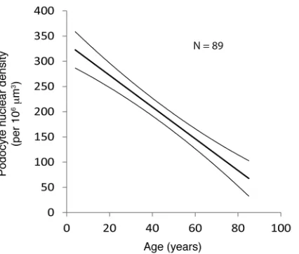 Figure 2. Linear decrease in podocyte density with age. The data shown are the median and 
