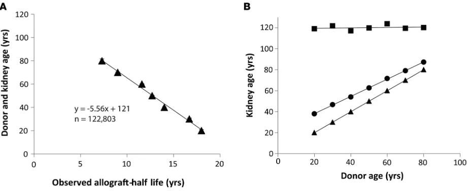 Figure 6. Donor age in relation to allograft half-life plots. (A) Donor age versus allograft half-life
