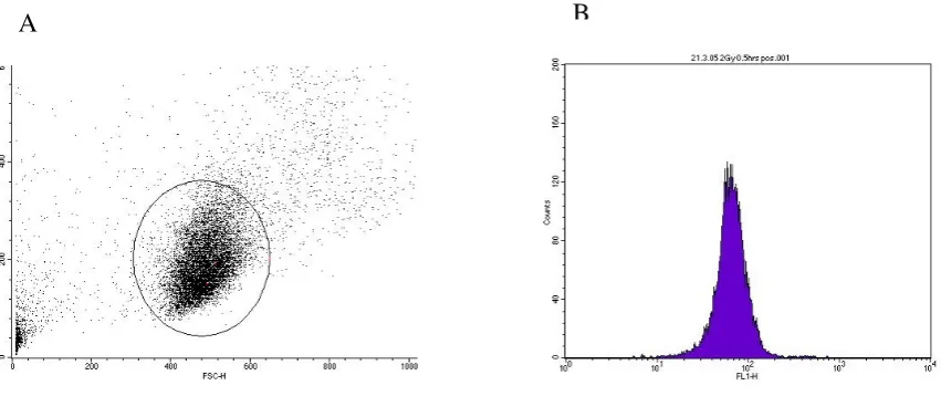 Figure 2.1 Flow cytometric analysis of γH2AX stained PBLs 