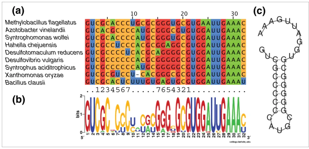 Figure 2Evidence for secondary structure in cluster 3Evidence for secondary structure in cluster 3