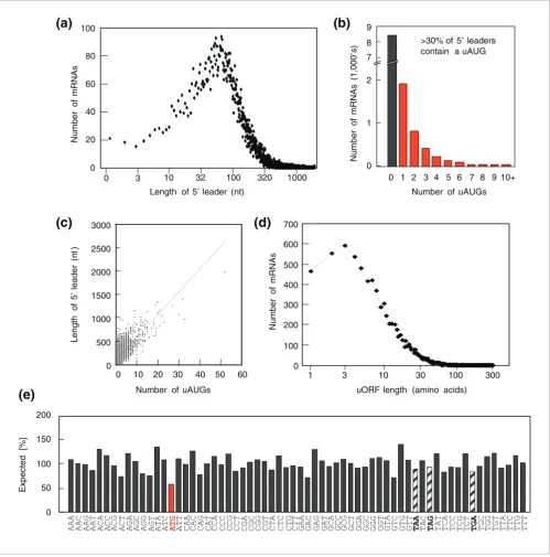 Figure 9a shows that increasing numbers of uAUGs were