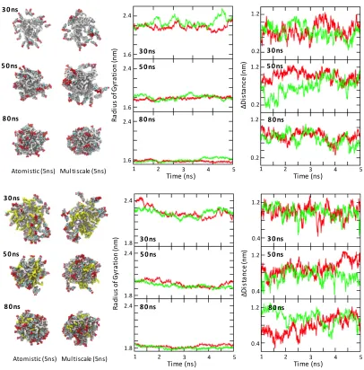 Figure 5 Analysis for PGA100 (top) PGA20-co-C18PGA80 (bottom) with DXMP. Left: Two snapshots from the end of the 5 ns simulations using both atomistic and multiscale force fields