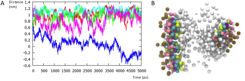 Figure 7 A: Graph for the orientation of DXMP with respect to the polymer centre of mass in five different systems