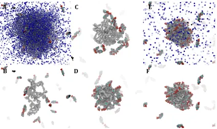 Figure 2 Snapshots taken during the 80 ns multiscale simulation of PGA100 with DXMP. A: 5 ns (with acetone shown), B: 5 ns, C: 30 ns, D: 50 ns, E: 80 ns (with acetone shown), F: 80 ns