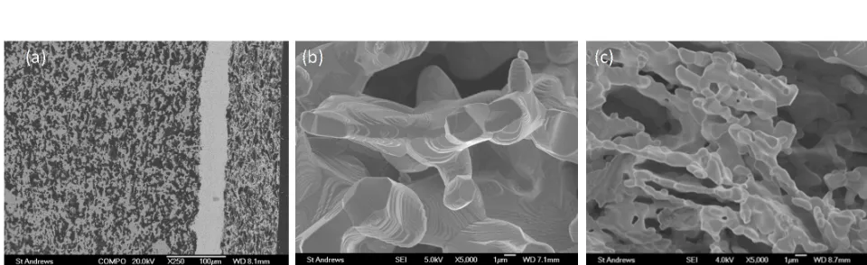 Fig. 7 (a) Back-scattered electron (BSE) image of the cross section of anode-supported cell produced by aqueous tape casting (from left to right: porous LSCTA- anode, dense YSZ electrolyte and porous YSZ cathode) ; (b) scanning electron micrographs (SEM) o