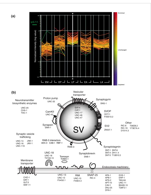 Figure 7 (see legend on previous page)