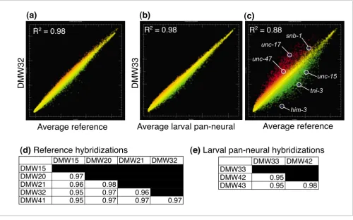 Figure 2C. elegans specific gene ((DMW32; red) of RNA isolated from all larval cells (reference) by mRNA-tagging compared to the average intensity of the reference dataset (green)