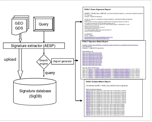 Figure 1Schematic representation of EXALT system