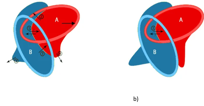 Figure 2: Interacting level set functions A and B (a) before and (b) after evolution: (1) neither A and B 