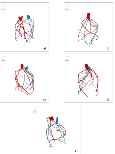 Figure 4: Root system descriptions recovered from real images of two interacting wheat plants from 