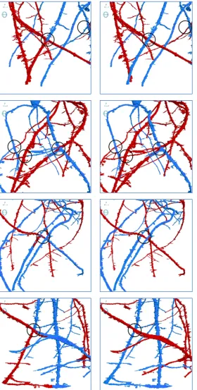 Figure 5: Root descriptions extracted and enlarged for comparison left) the original RooTrak and 