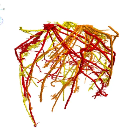 Figure 7: Recovered root systems of three interacting wheat plants, each root system is labelled and 