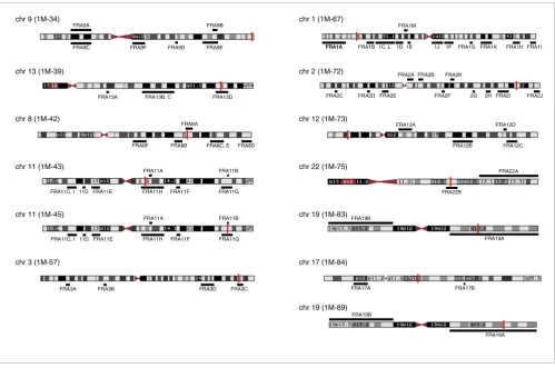Figure 7Positions of DHFR* integration sites and fragile sites