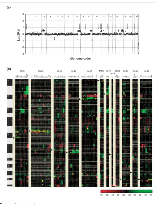 Figure 1 (see legend on next page)