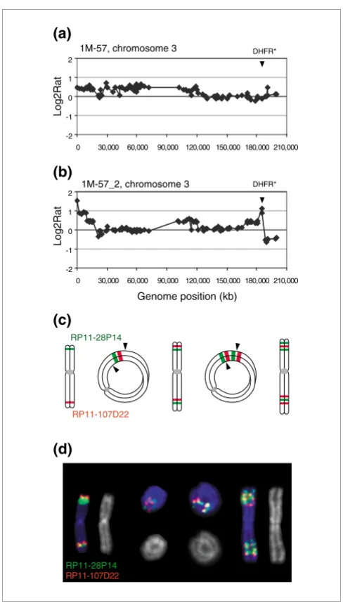 Figure 2intermediateMechanism of 